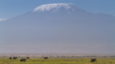 Mount Kilimandjaro